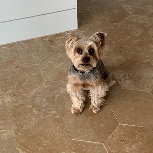 Meet your Posher, Rosario